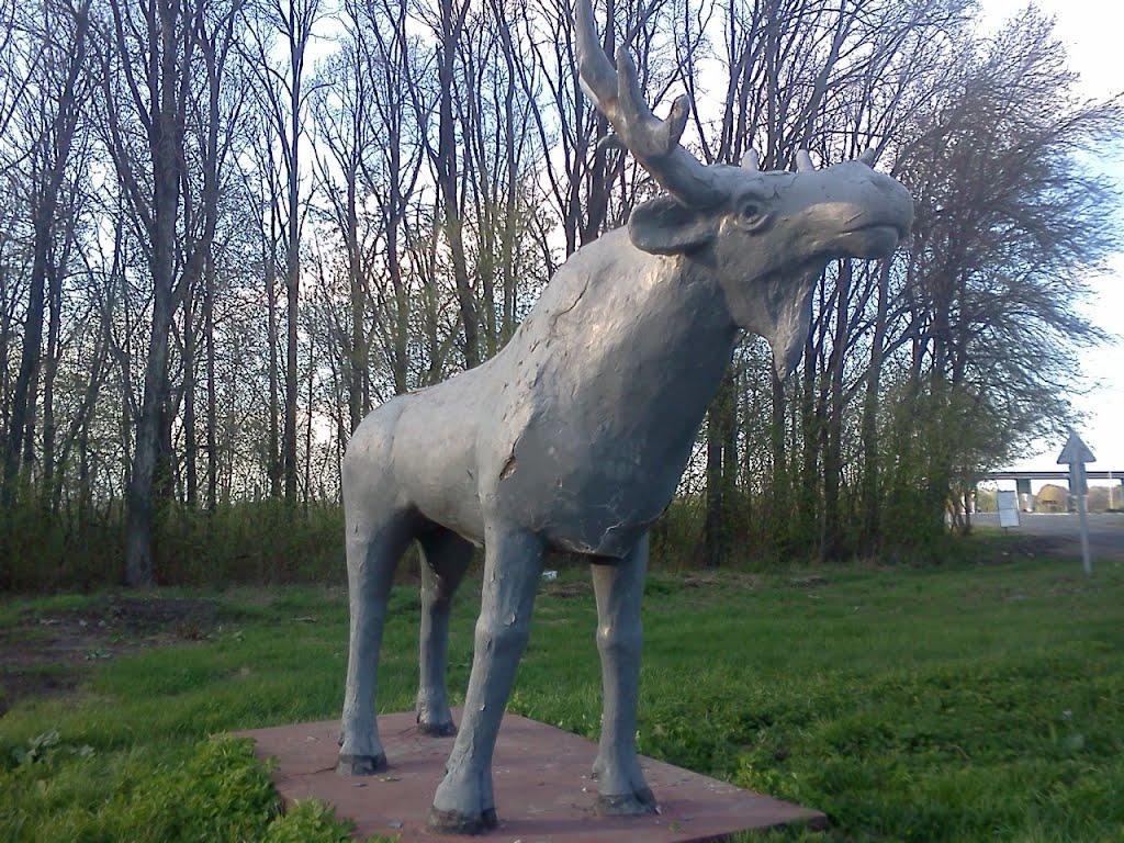 Вищий Булатець з panoramio.com - Вищий Булатець