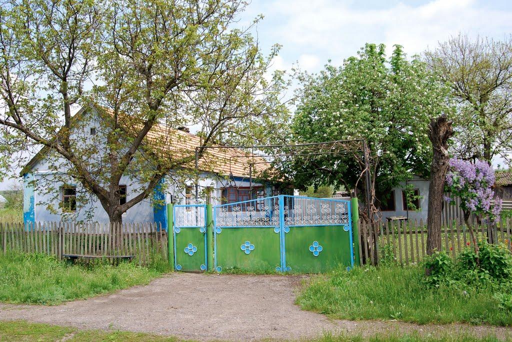 Мала Ганнівка з panoramio.com - Mala Gannivka