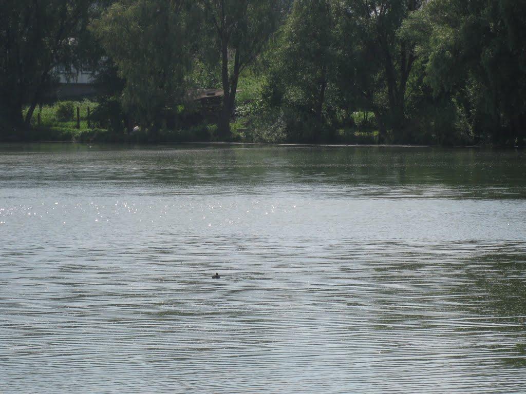 Борзна з panoramio.com - Борзна