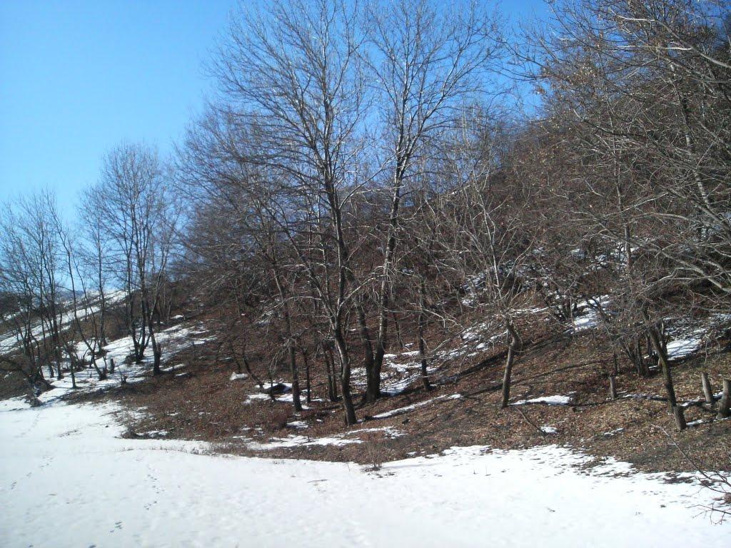 Антрацит з panoramio.com - Антрацит