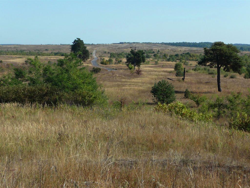 Верещиця з panoramio.com - Верещиця