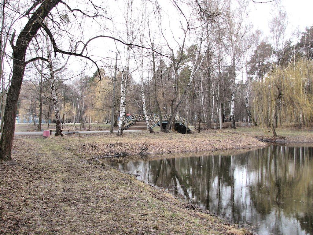 Шепетівка з panoramio.com (ч.2) - Шепетовка