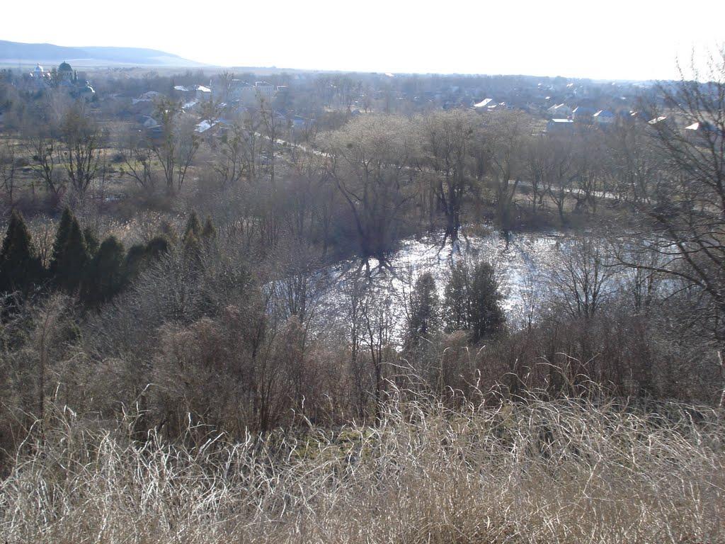 Олесько з panoramio.com - Olesko