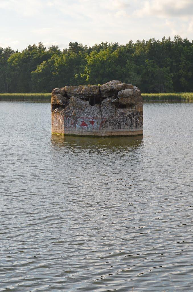 Лісники з panoramio.com - Лісники