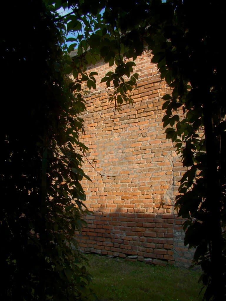 Зимне з panoramio.com - Зимне