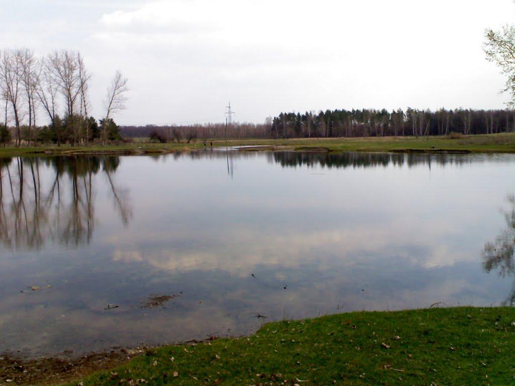 Вільне з panoramio.com - Vilne