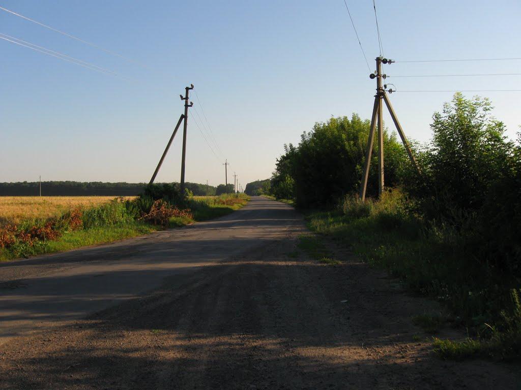Ладижинські Хутори з panoramio.com - Ладижинські Хутори