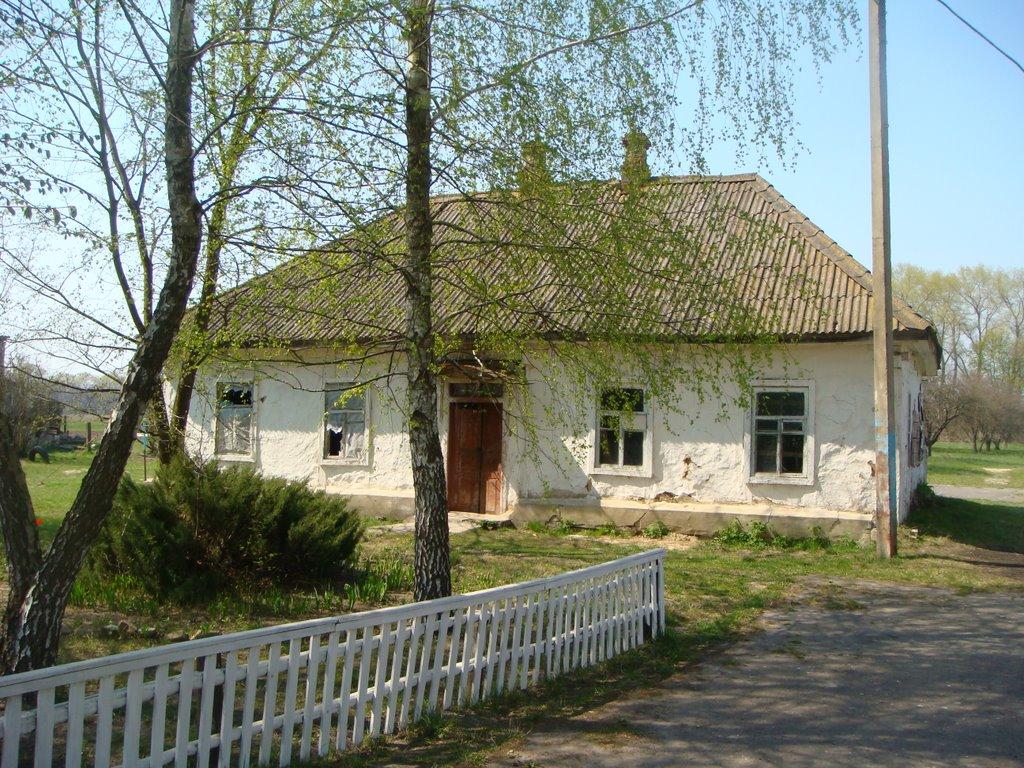 Риків з panoramio.com - Риків