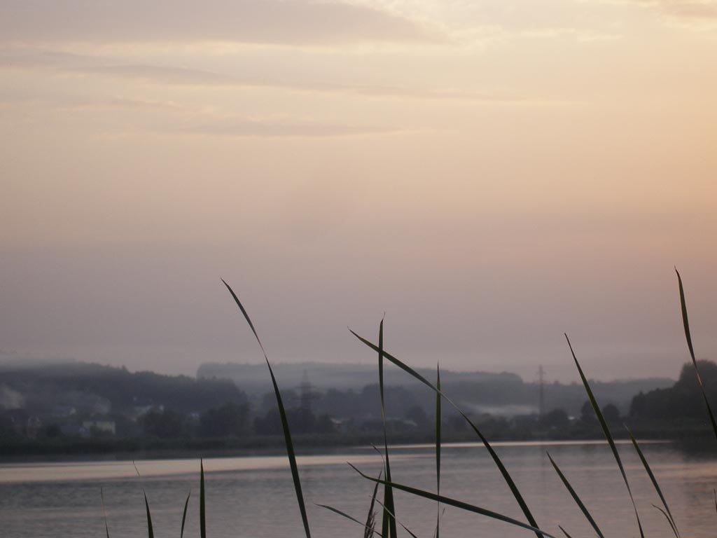 Лісники з panoramio.com - Лісники