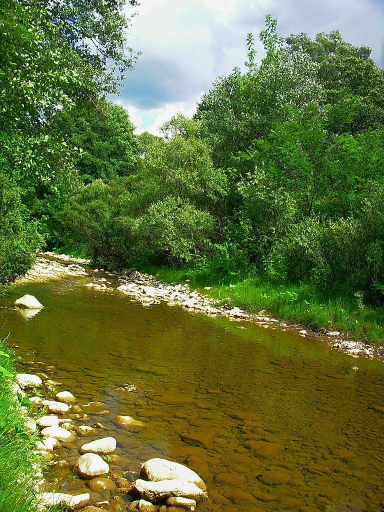 Голубинка з panoramio.com - Голубинка