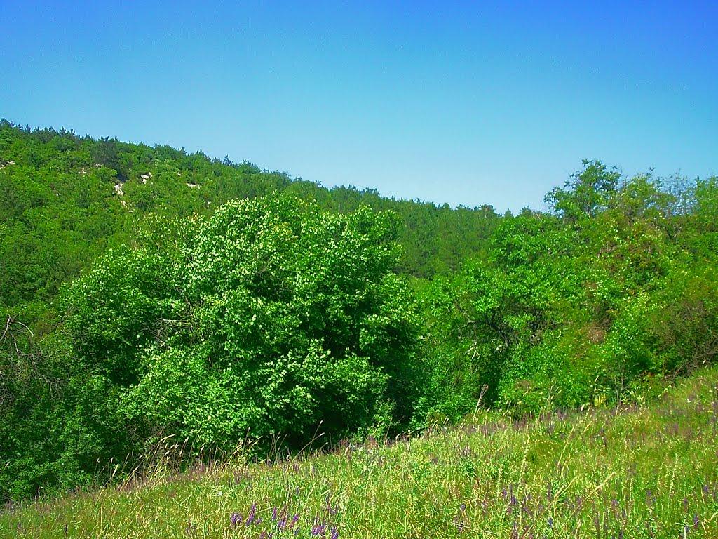 Багата Ущелина з panoramio.com - Багата Ущелина