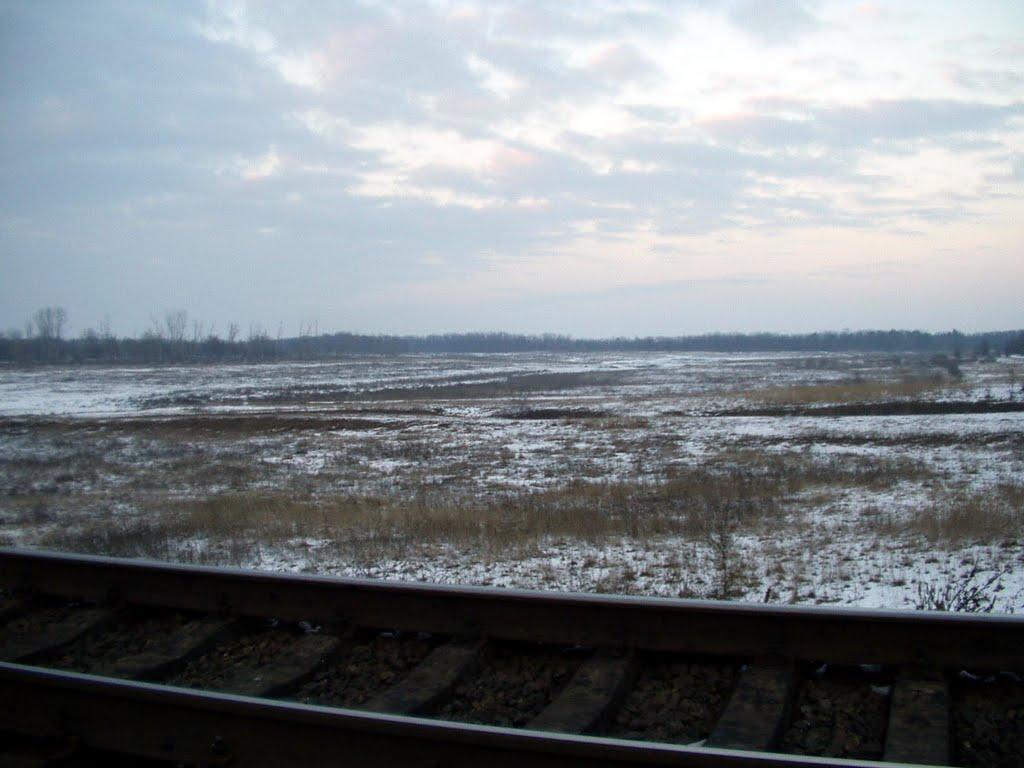 Миколаївське з panoramio.com - Миколаївське