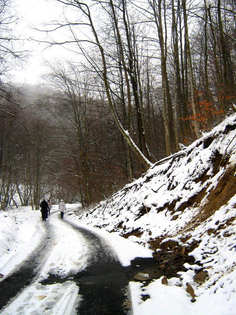 Драгово з panoramio.com - Драгово