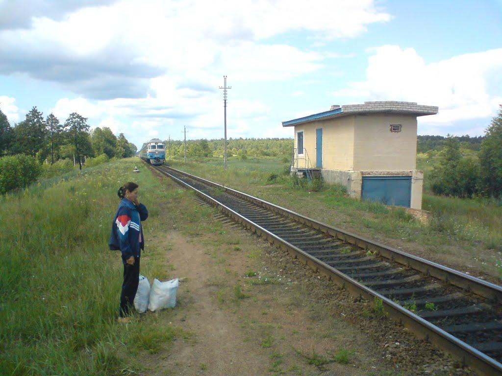 Ловинь з panoramio.com - Ловинь