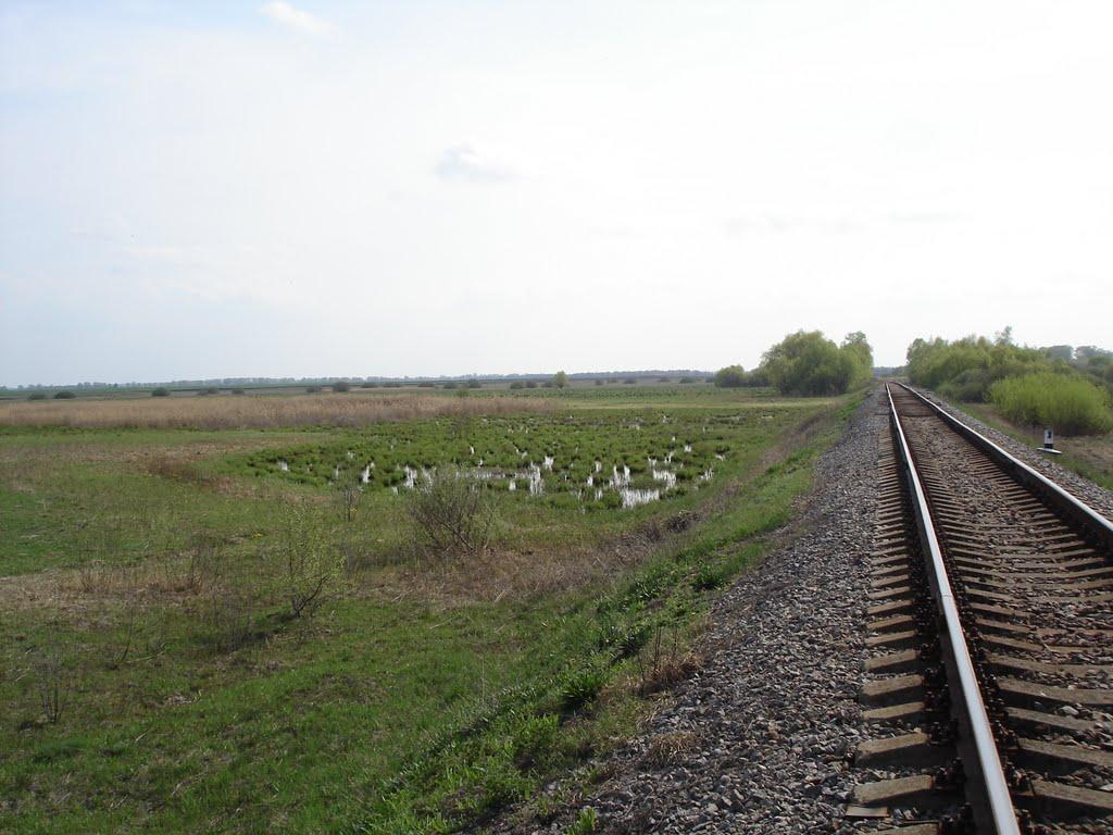 Вишнівське з panoramio.com - Вишнівське