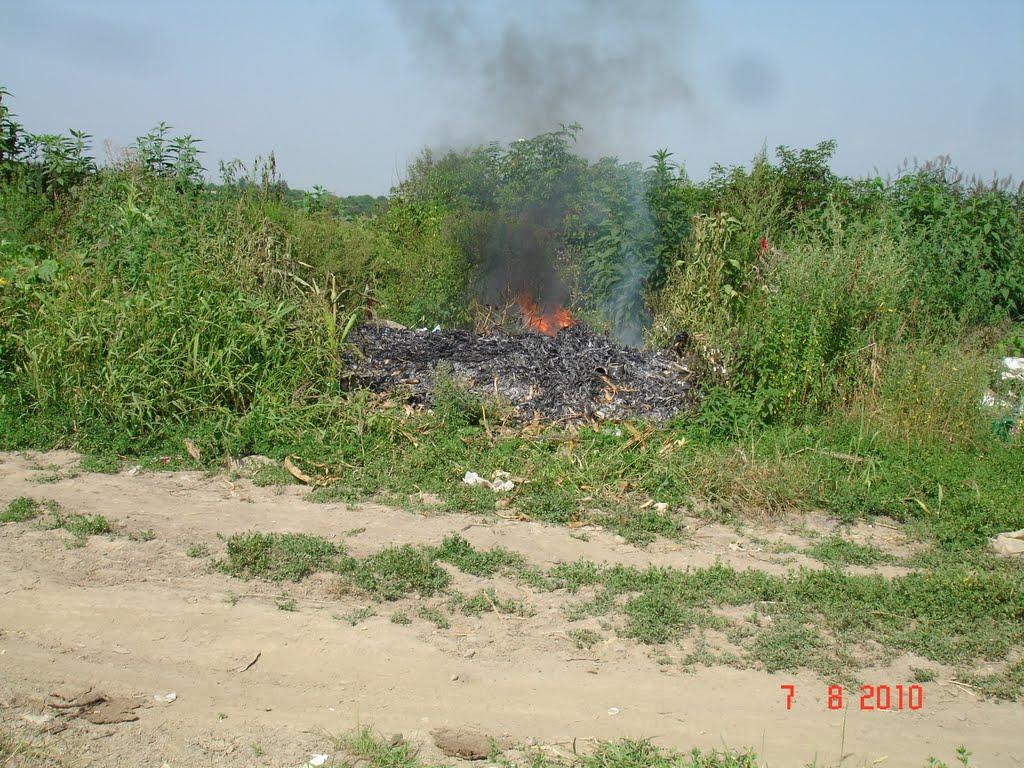 Динівці з panoramio.com - Динівці