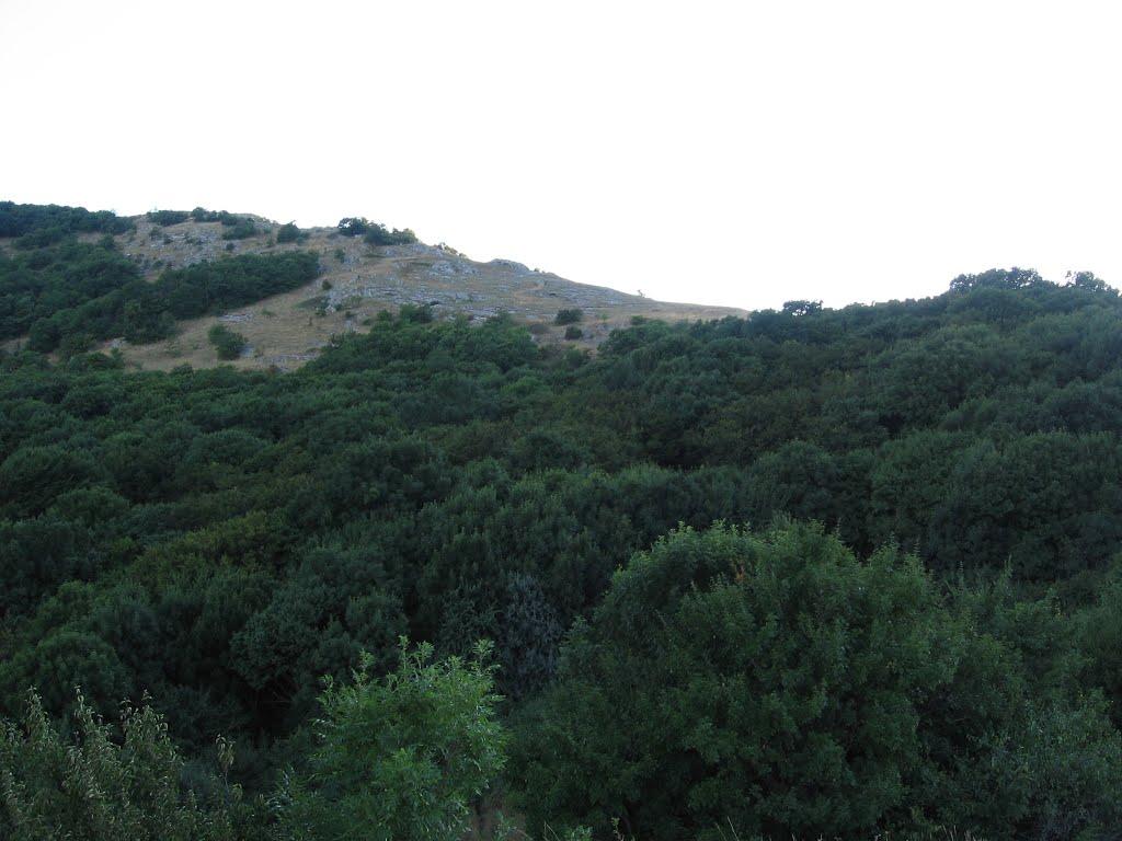 Красноселівка з panoramio.com - Красноселівка