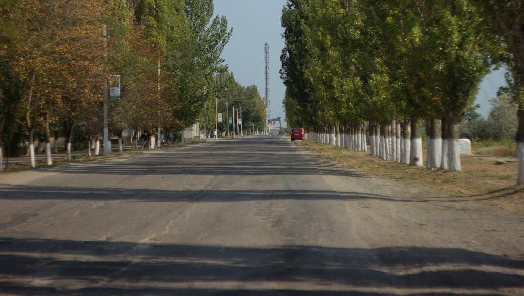 Красноперекопськ з panoramio.com - Красноперекопськ