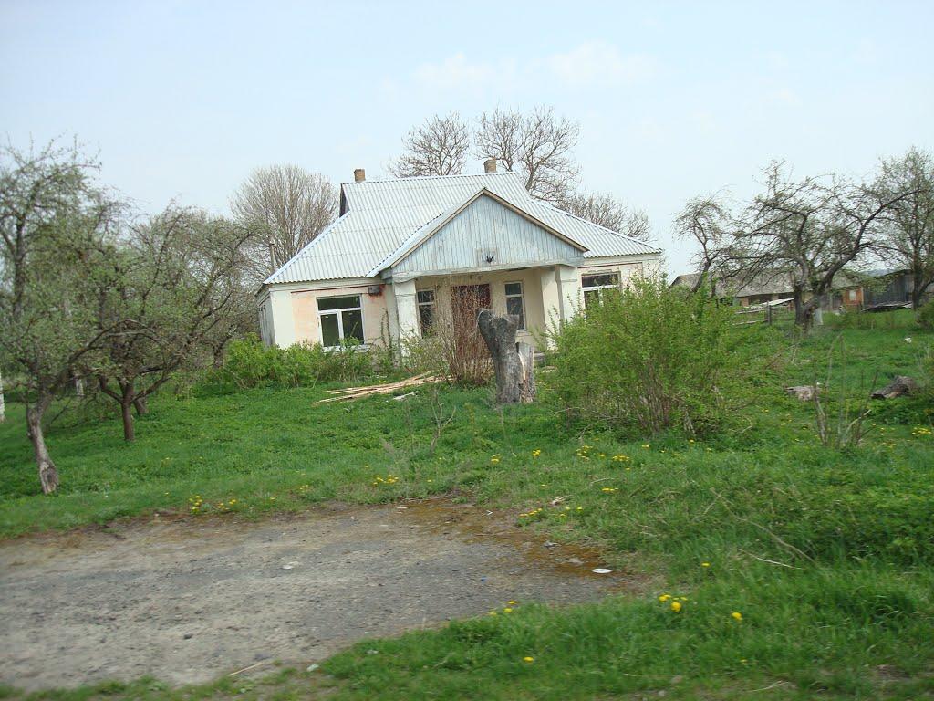 Дроздні з panoramio.com - Drozdni