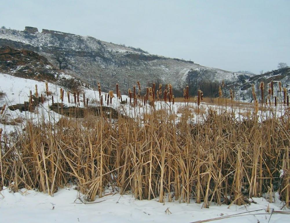 Перевальськ з panoramio.com - Перевальськ