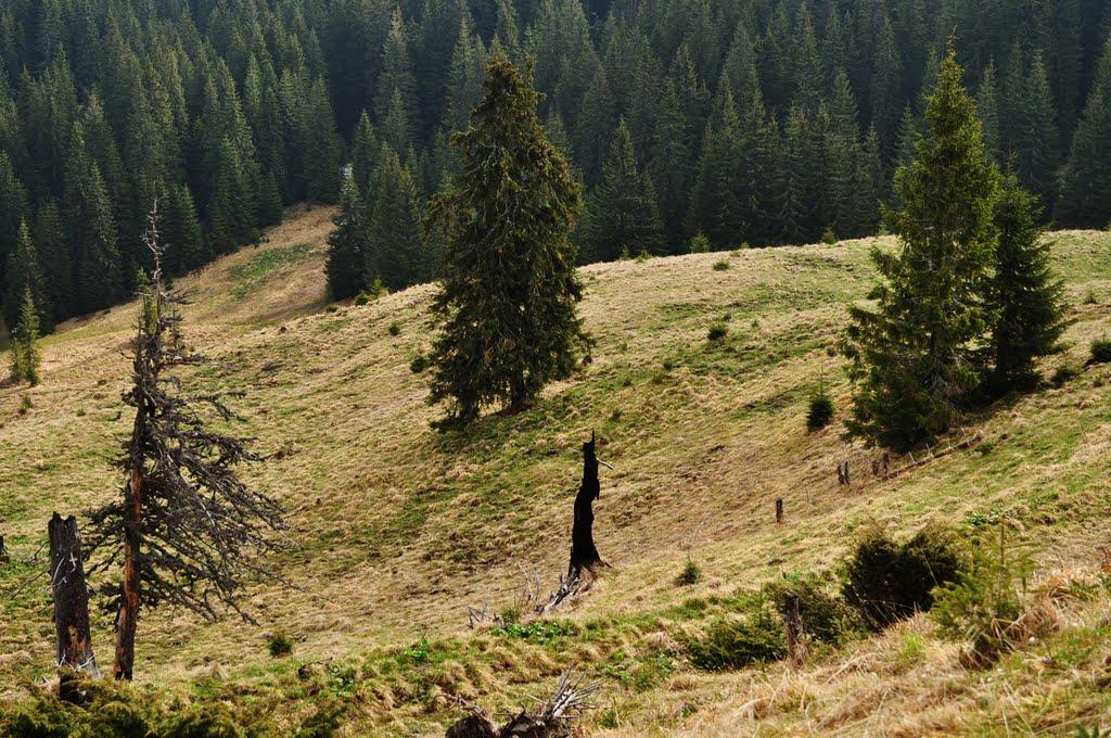 Берестечко з panoramio.com (ч.2) - Берестечко