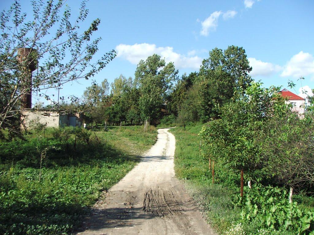 Великий Любінь з panoramio.com - Velykyy Lyubin