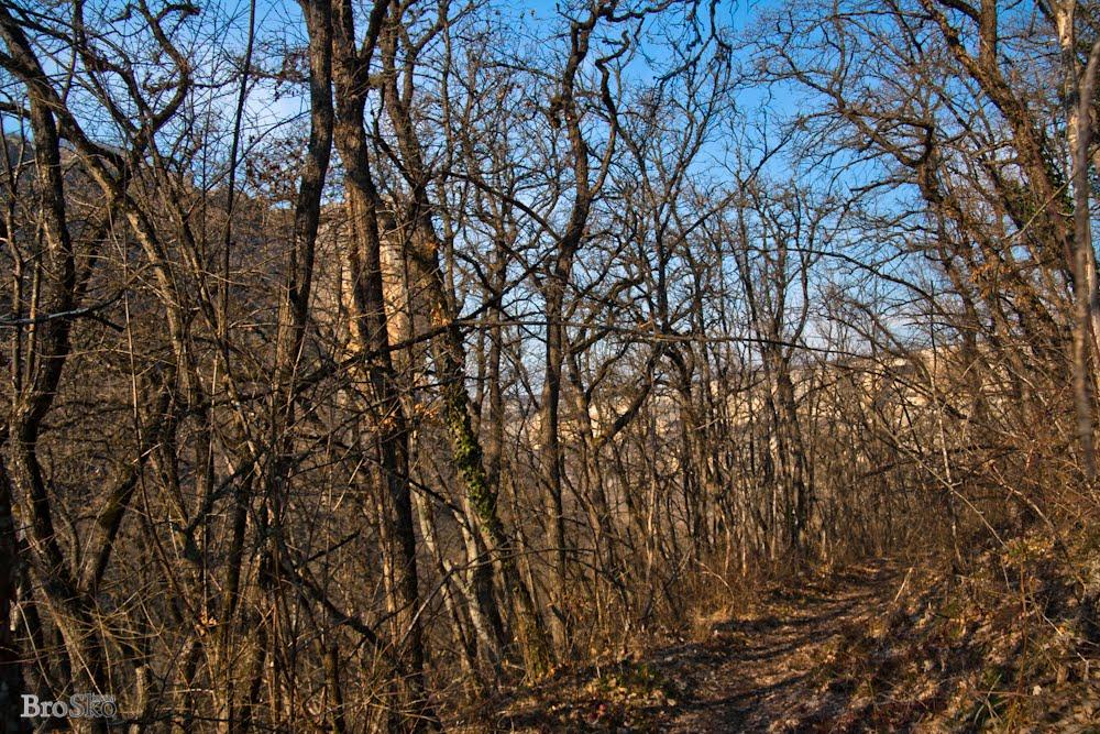 Баштанівка з panoramio.com - Баштанівка