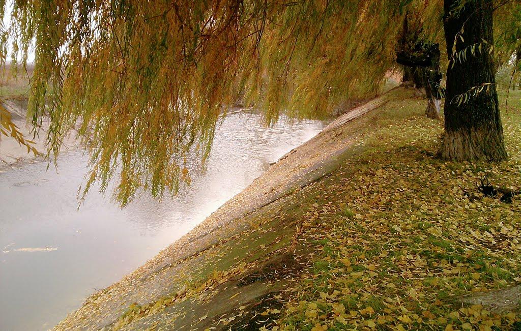 Чернишове з panoramio.com - Чернишове