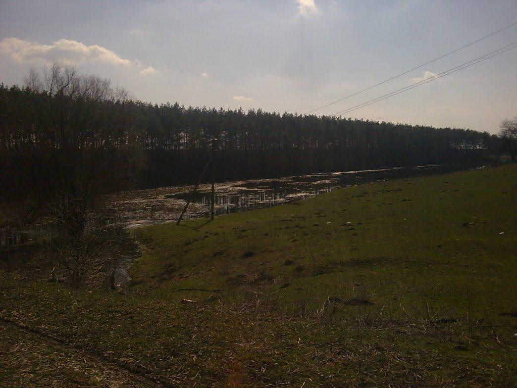 Чупринівка з panoramio.com - Чупринівка