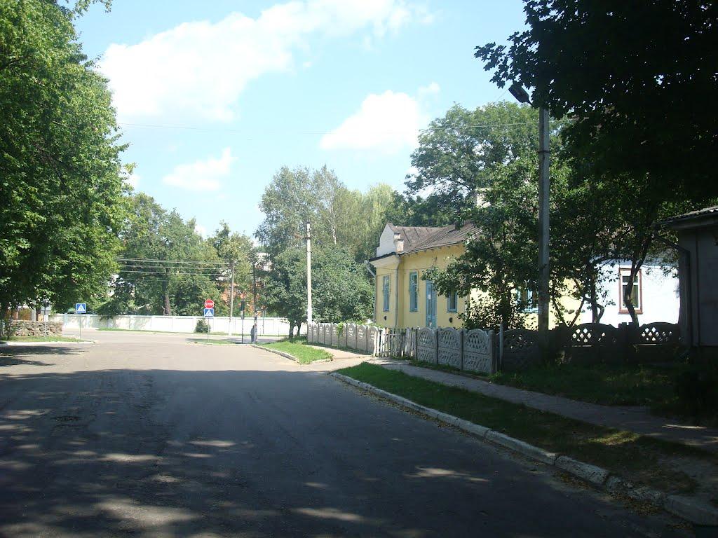 Острог з panoramio.com - Острог