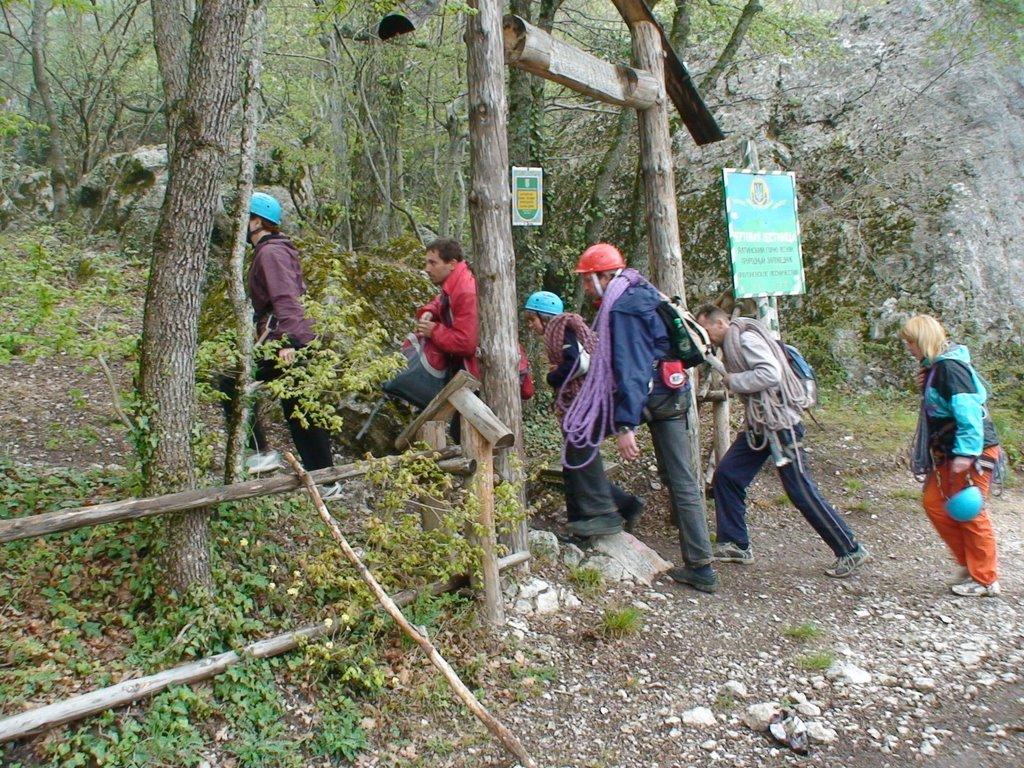 Олива з panoramio.com - Олива