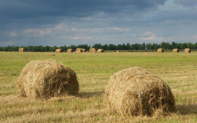 Любеч з panoramio.com - Любеч