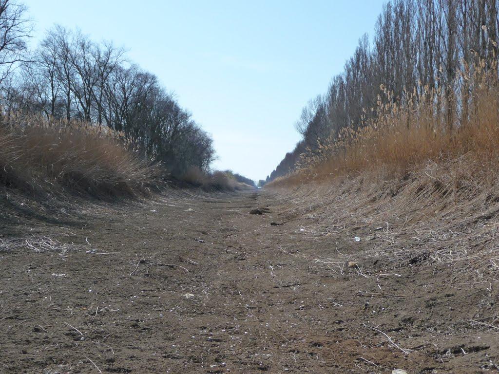 Чернишове з panoramio.com - Чернишове