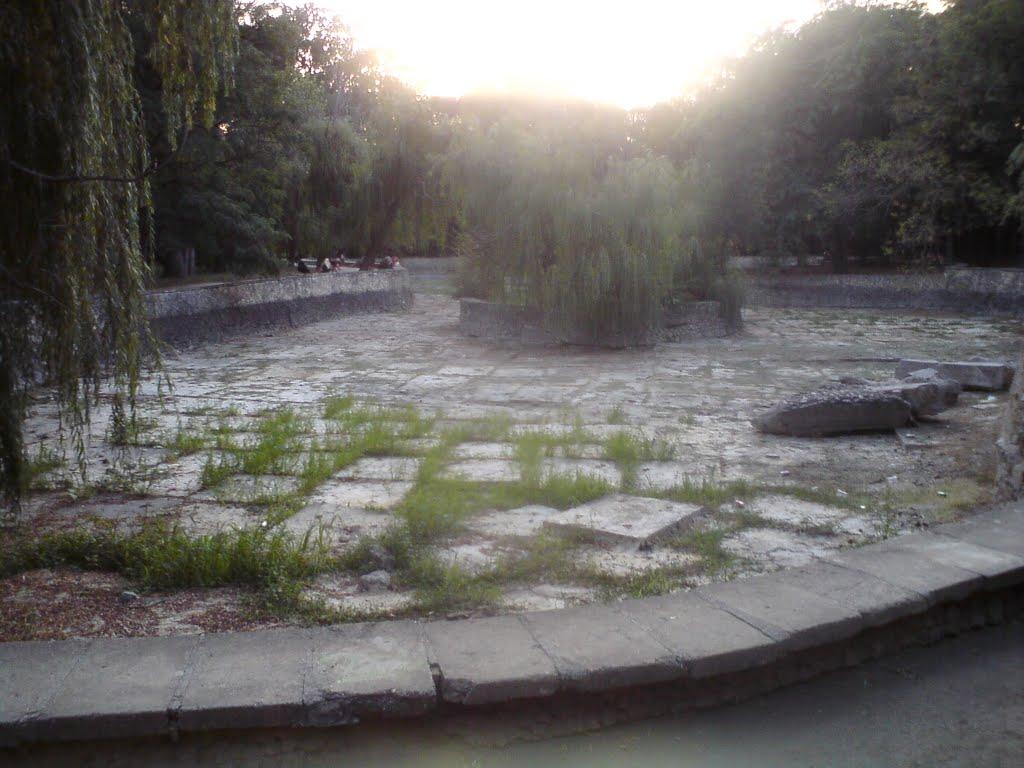 Саки з panoramio.com - Саки