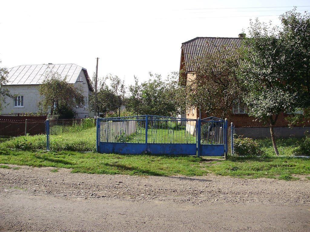 Черниця з panoramio.com - Черница