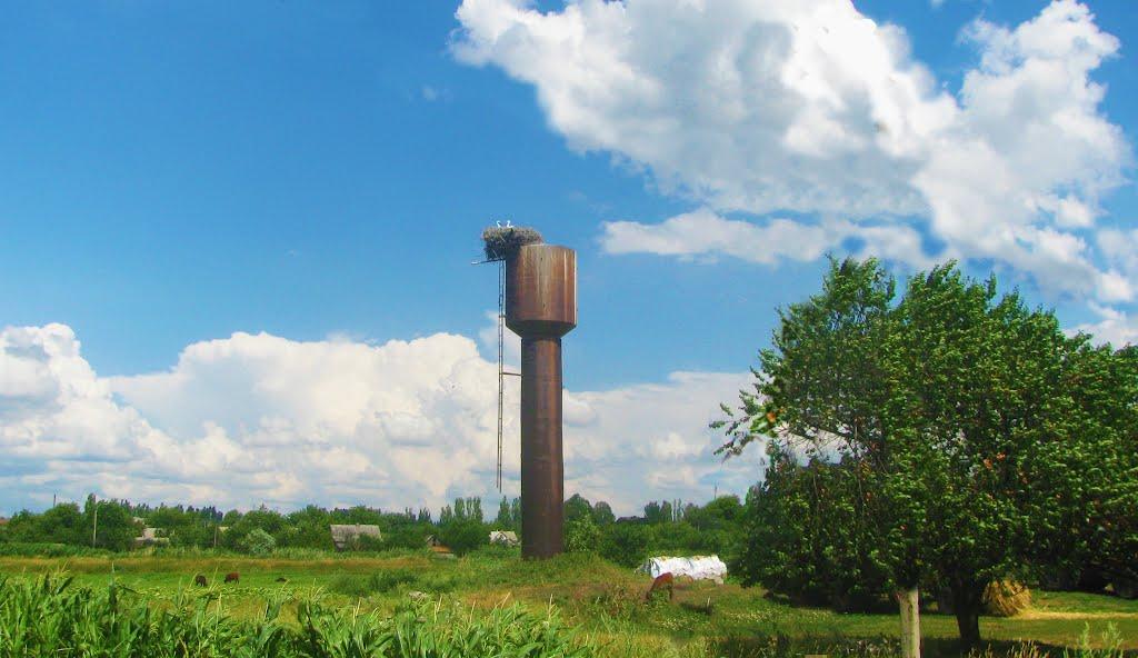 Велика Новосілка з panoramio.com - Велика Новосілка