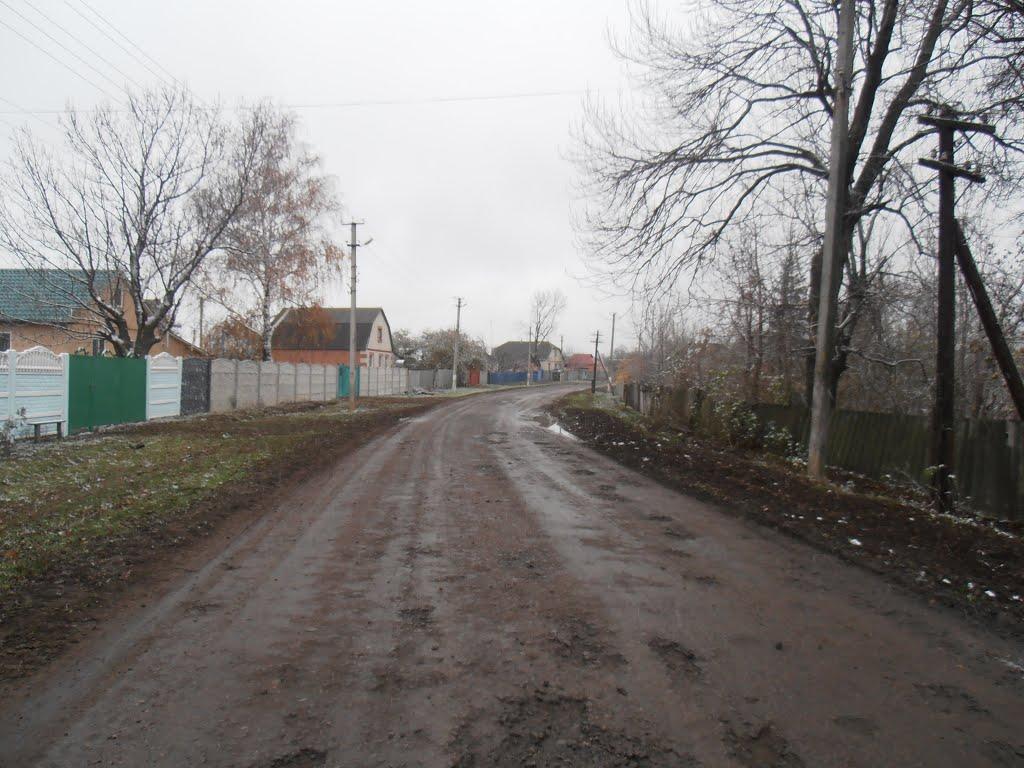 Черемушна з panoramio.com - Черемушна