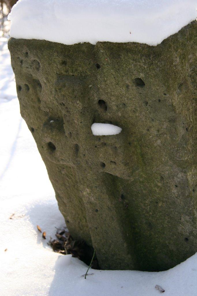 Великий Букрин з panoramio.com - Великий Букрин