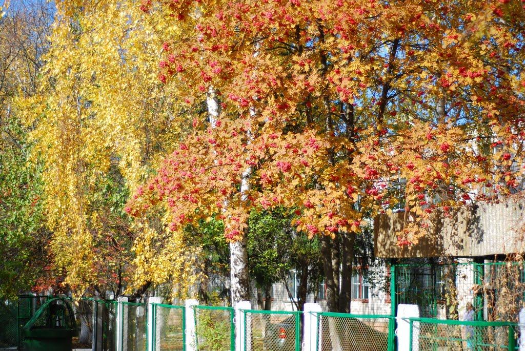 Шевченка з panoramio.com - Шевченка