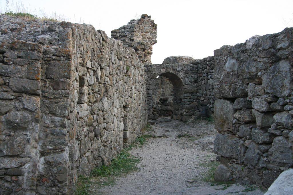 Лаванда з panoramio.com (ч.2) - Лаванда