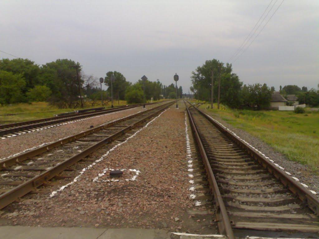 Світловодськ з panoramio.com (ч.2) - Світловодськ