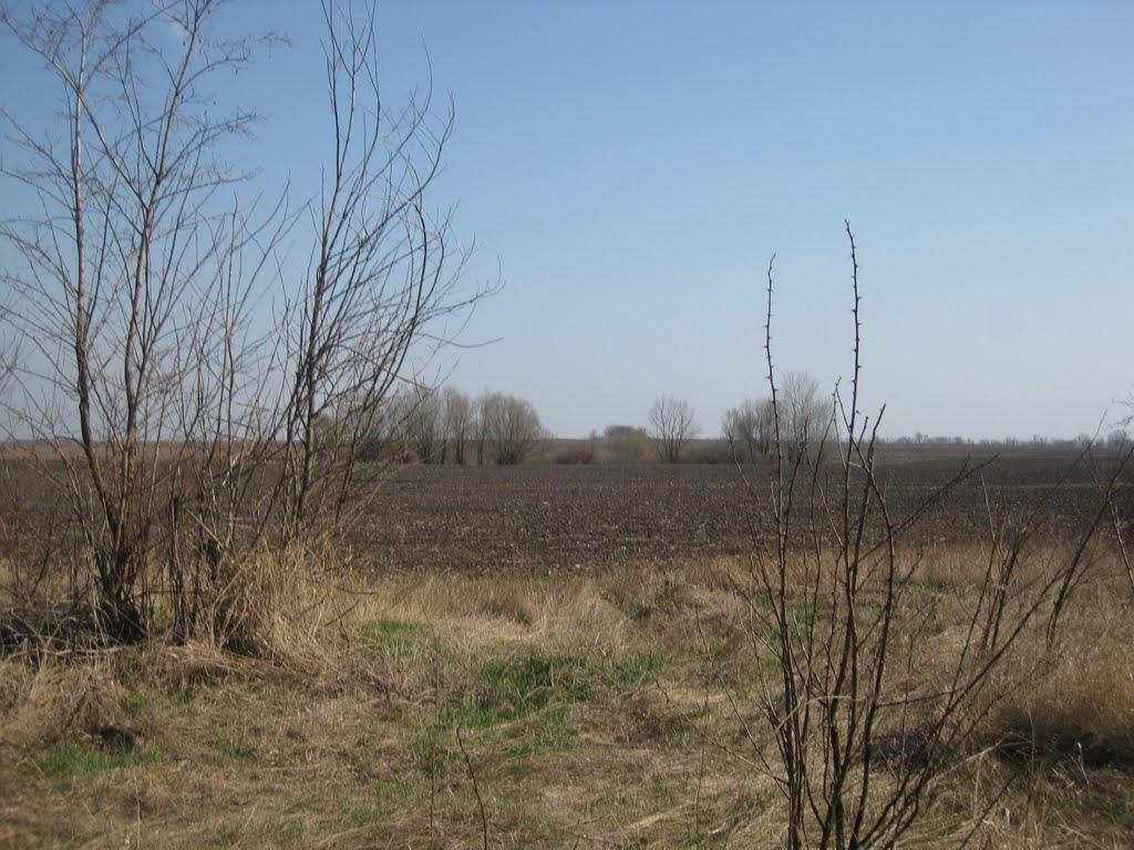 Підок з panoramio.com - Подок