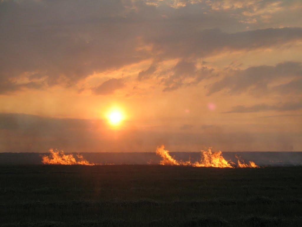 Піщанка з panoramio.com - Піщанка