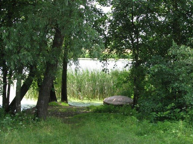 Куковичі з panoramio.com - Куковичі