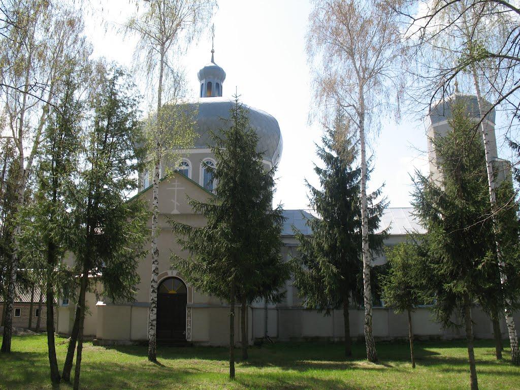 Велика Севастянівка з panoramio.com - Велика Севастянівка