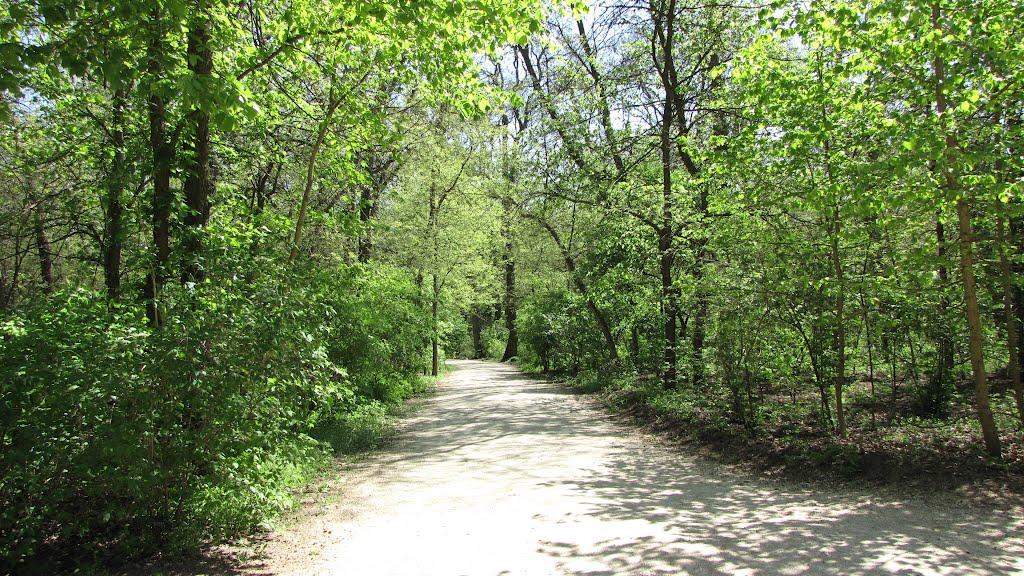 Асканія-Нова з panoramio.com - Askaniya-Nova