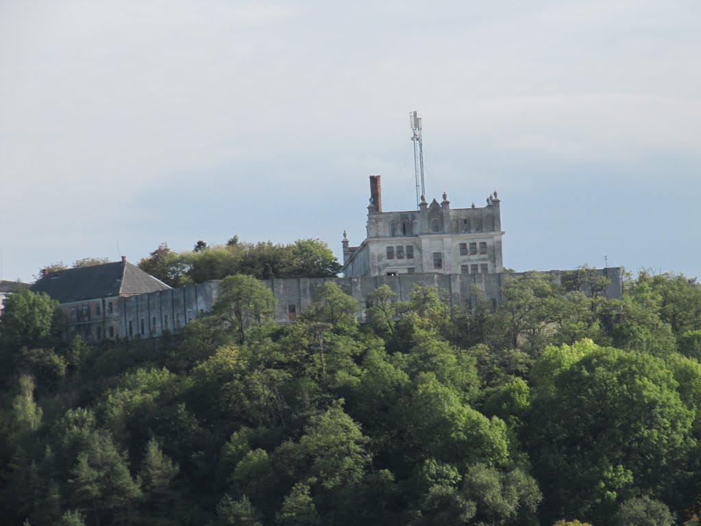 Нагірянка з panoramio.com - Нагорянка