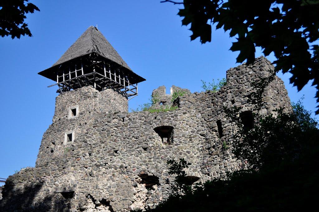 Кам'яниця з panoramio.com - Каменица