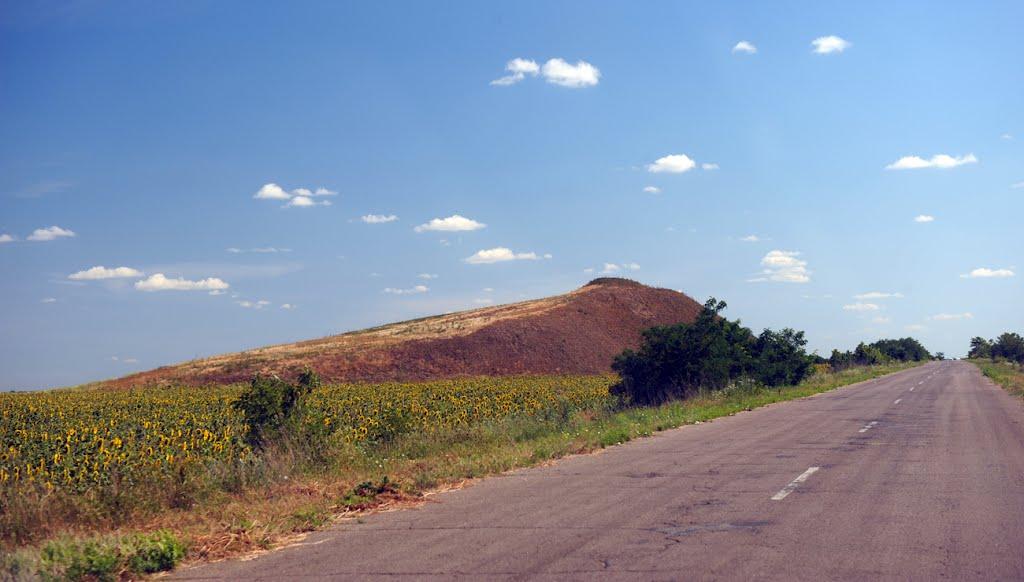 Нижні Сірогози з panoramio.com - Нижні Сірогози