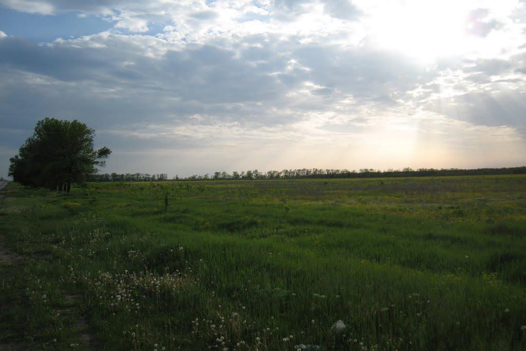 Станично-Луганське з panoramio.com (ч.2) - Станично-Луганське